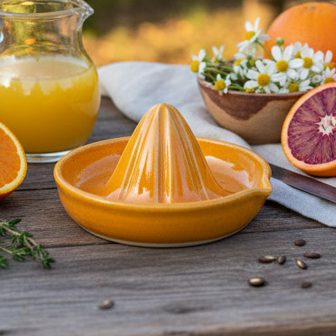 Summer Apricot Citrus Juicer