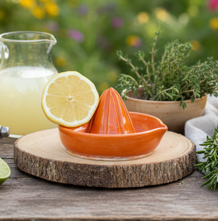 Spiced Marmalade Citrus Juicer